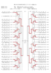 第３６回全国高等学校男子ソフトボール選抜大会　４日目結果