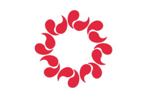 【埼玉県 ソフトボール】全国高等学校選抜大会県予選 （男子の部）　結果