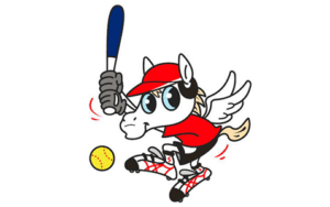 【女子ソフトボールリーグ】デンソー 選手一覧