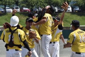 ソフトボール男子日本リーグ登録チーム一覧